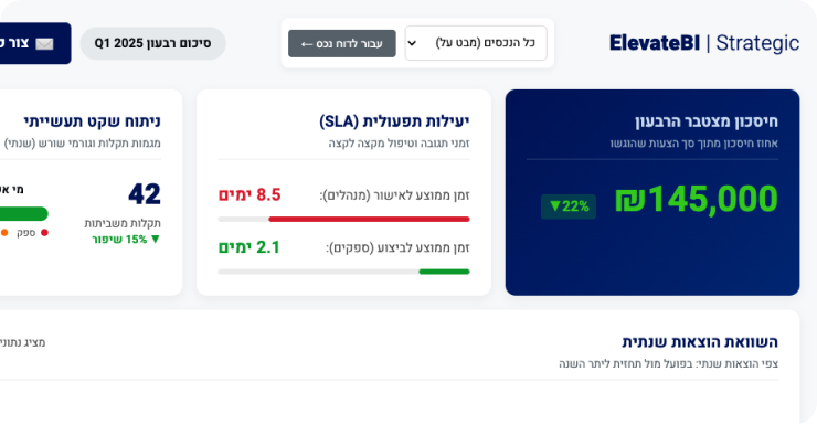 ניתוח מעמיק ובניית דשבורד BI ראשוני